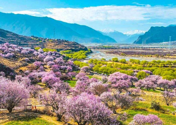 China Spring Tour to Nyingchi in Tibet