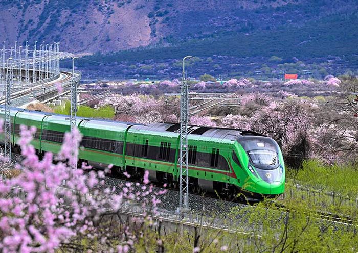 Lhasa to Nyingchi Bullet Train: Schedule, Tickets & Travel Tips
