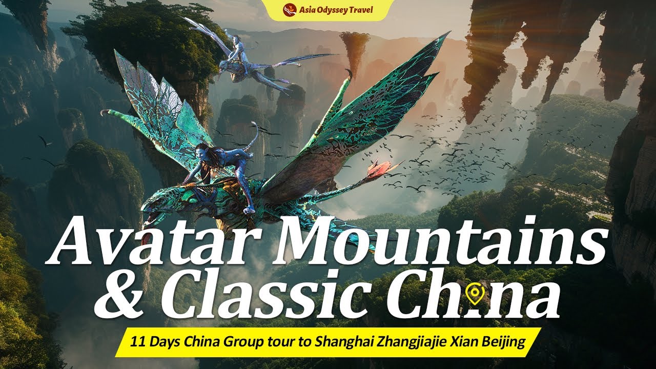 11 Days China Scenic & Cultural Tour in Group (Shanghai Zhangjiajie Xian Beijing)
