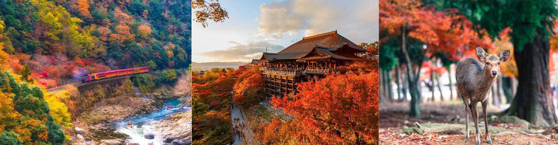 Japan Autumn Tours