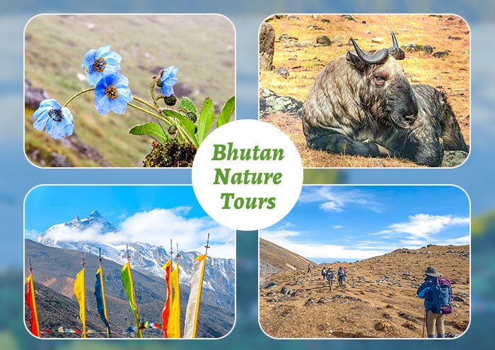 Bhutan Nature Tours 