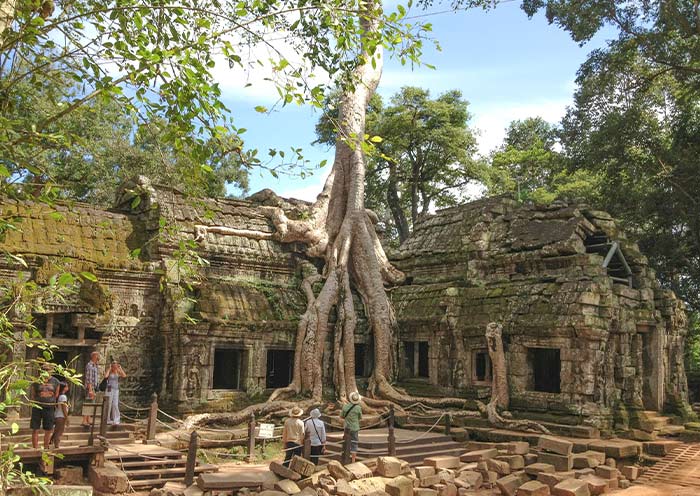 The Ta Prohm Amidst Jungle