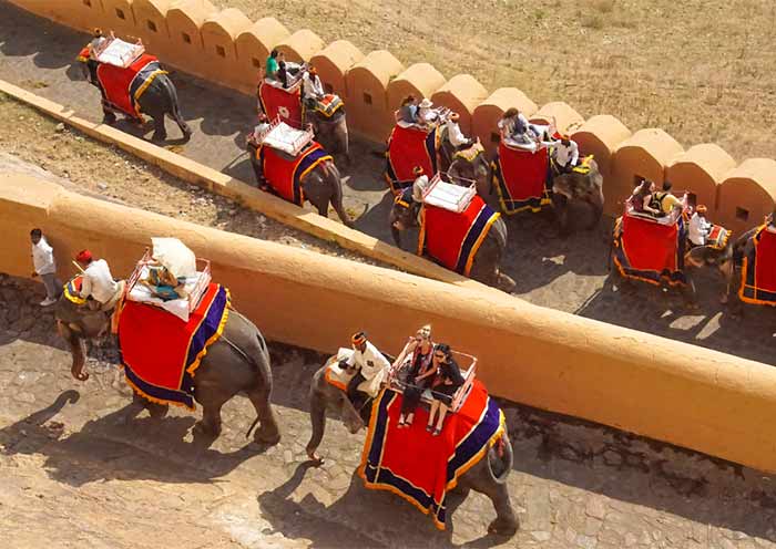 Visitors ascend to the Amber Fort by an elephant ride.