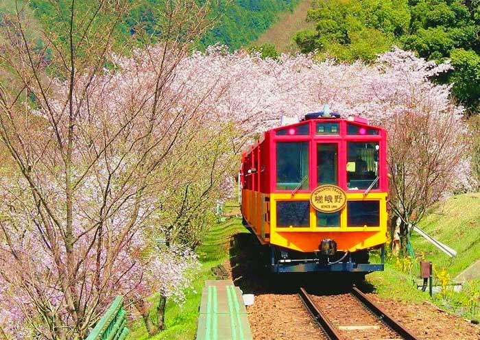 Sagano Scenic Railway, Kyoto