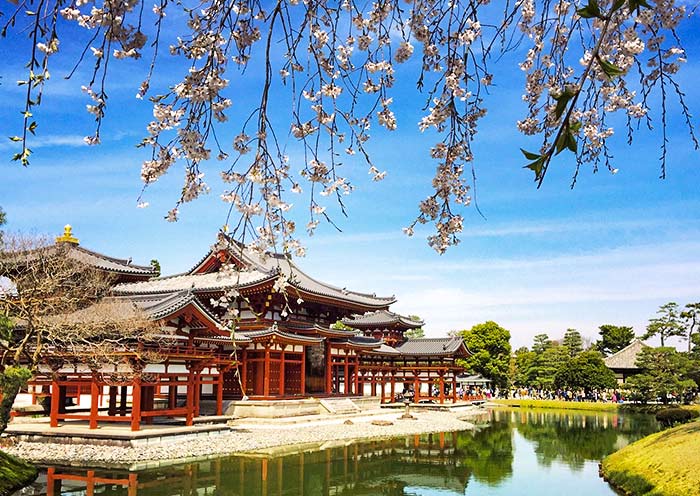 Byodoin Temple, Stunning World Heritage Site in Uji