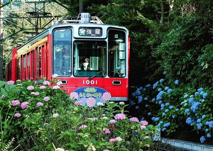 Hakone Tozan Train in summer