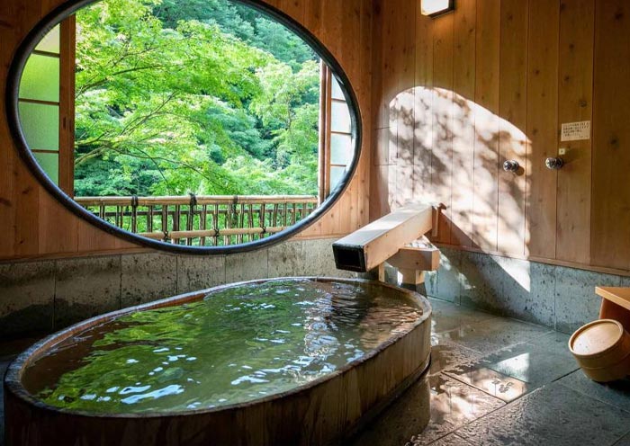 Hakone Hot Spring Hotels