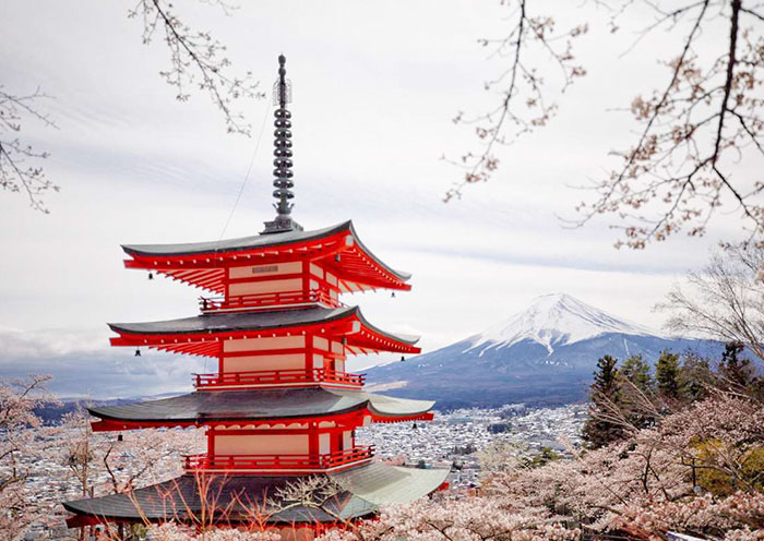 Cherry Blossom in Mount Fuji Arakurayama Sengen Park