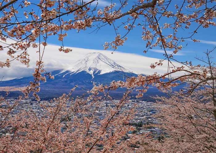 Arakurayama Sengen Park in Spring