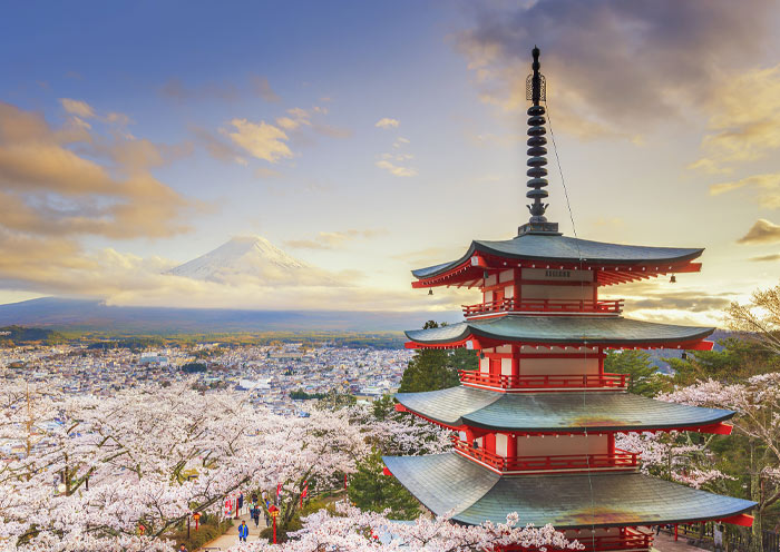 Arakurayama Sengen Park Spring cherry blossom 