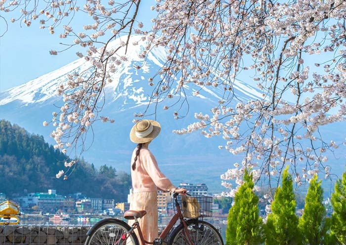 Lake Kawaguchiko and Mount Fuji Cherry Blossom