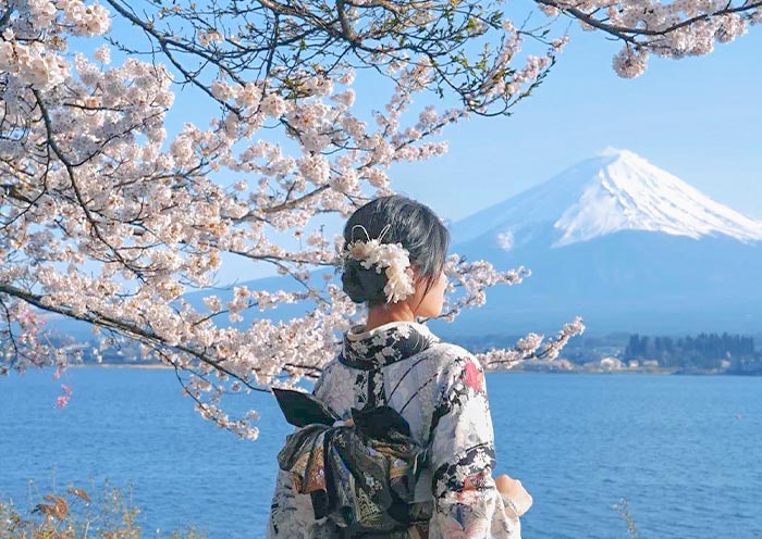 Lake Kawaguchiko and Mount Fuji Cherry Blossom Lake Kawaguchiko and Mount Fuji Cherry Blossom