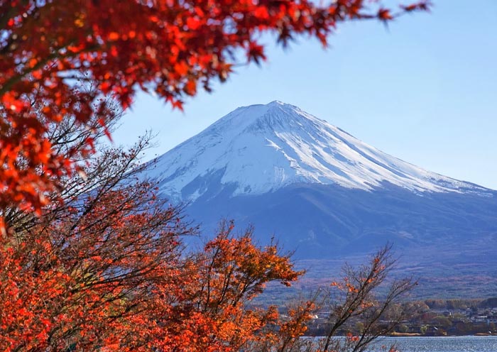 Beautiful Mount Fuji in Autumn 