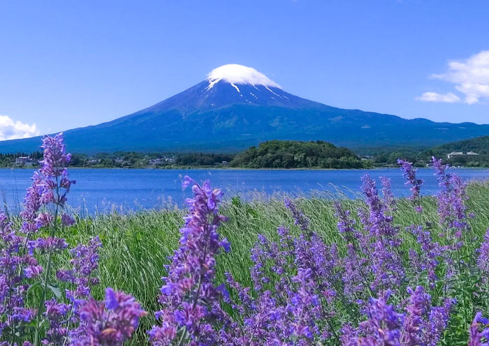 Mount Fuji Tours 