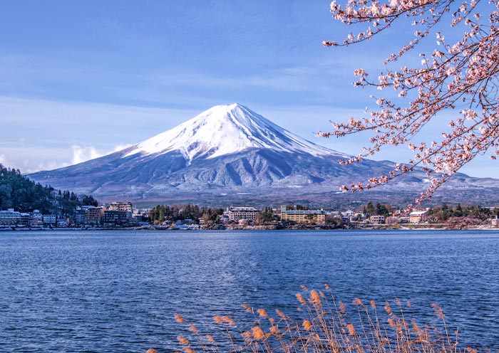 Mount Fuji Kawaguchigo Spring Cherry Blossom