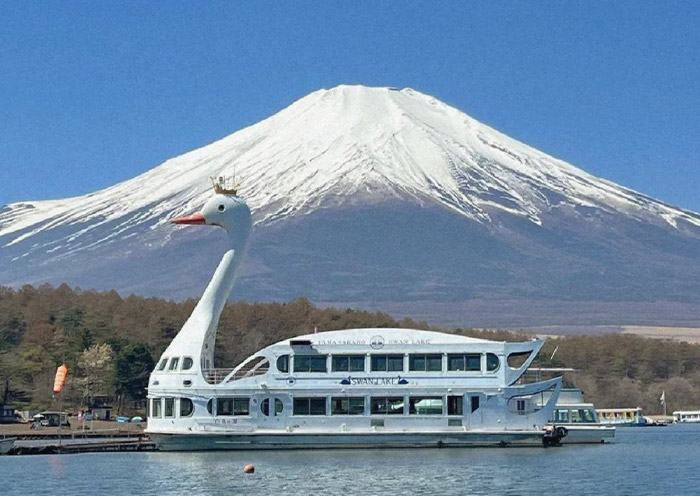 View Mount Fuji in Yamanakako