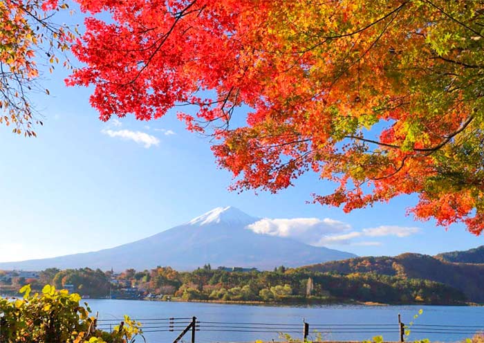 Mount Fuji in the Autumn