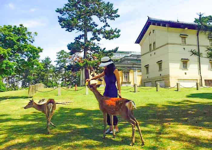 Nara Park, Nara