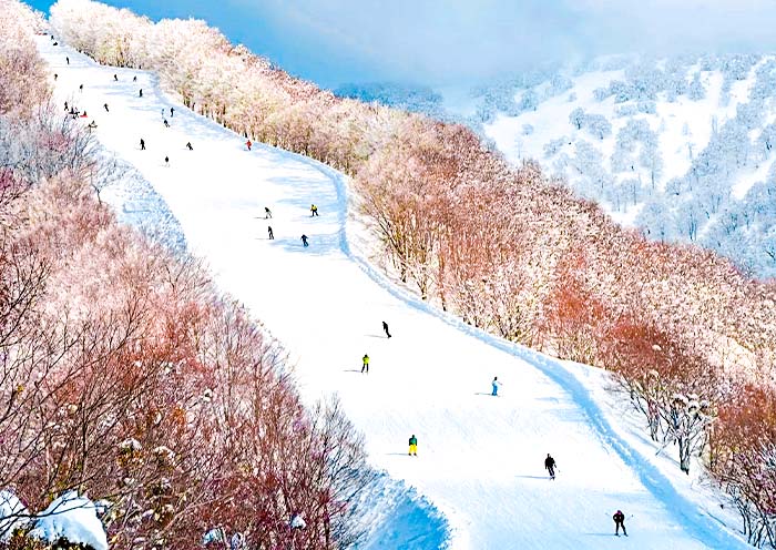 Nozawa Onsen Ski Resort