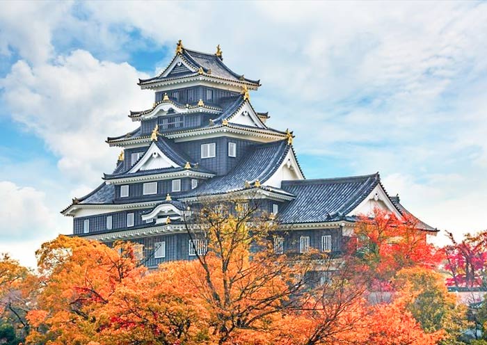 Okayama Castle in Autumn