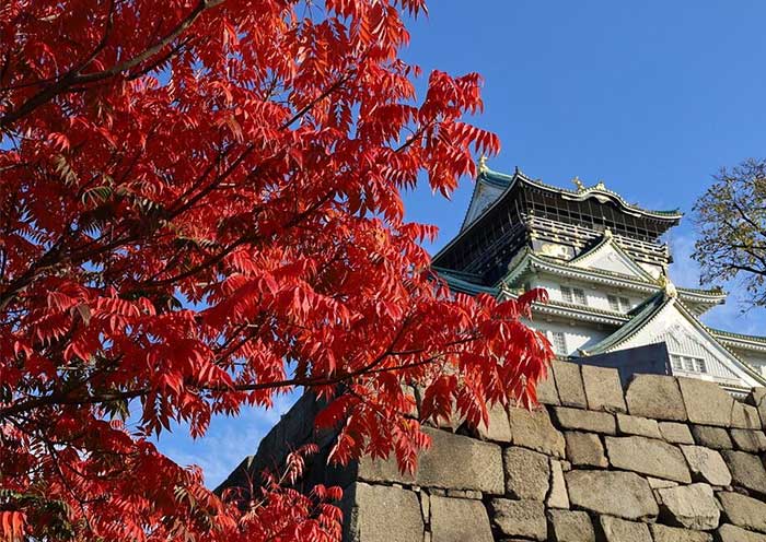 Autumn Leaves Spectacle, Osaka Castle 