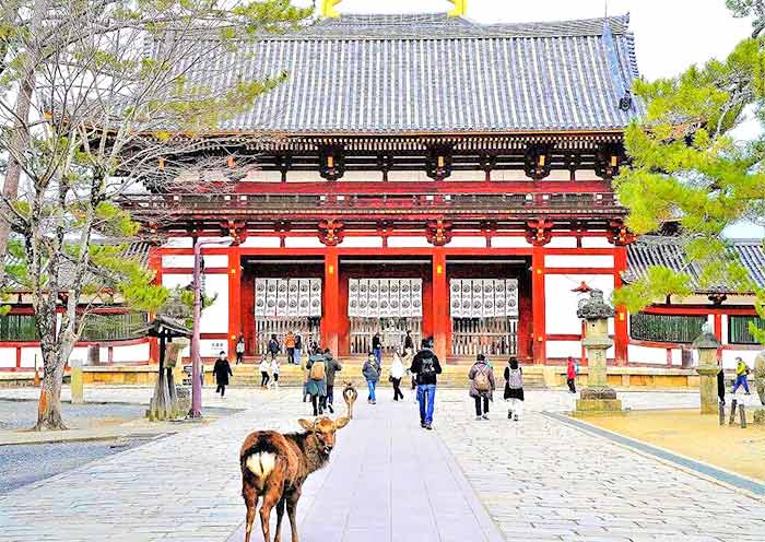 Todaiji Temple, Nara