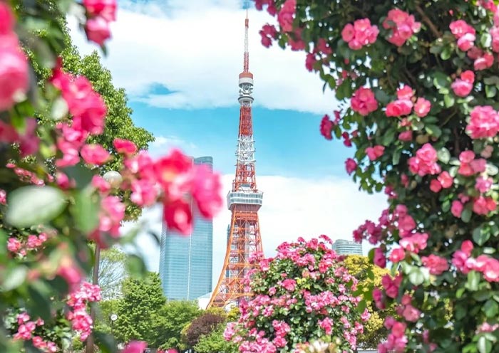 Tokyo Tower from Shiba Park