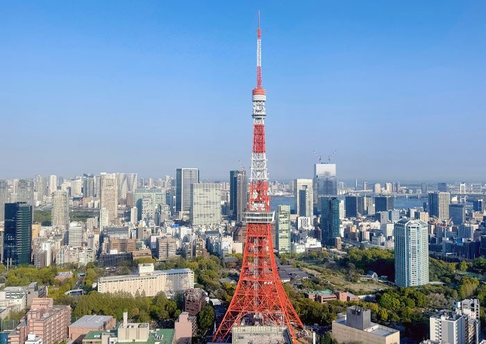 Tokyo Tower Panoramic View