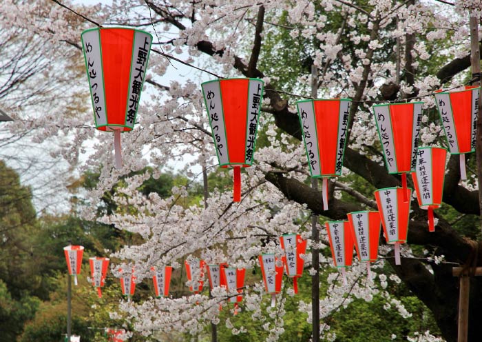 Tokyo Ueno Park in spring 