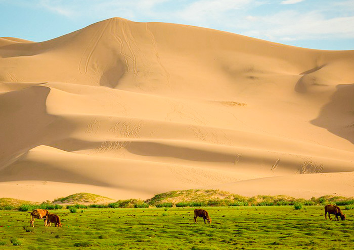 Khongor Sand Dunes