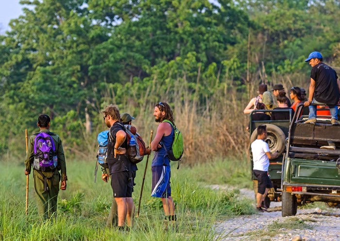 Jeep Safari & hiking, Chitwan