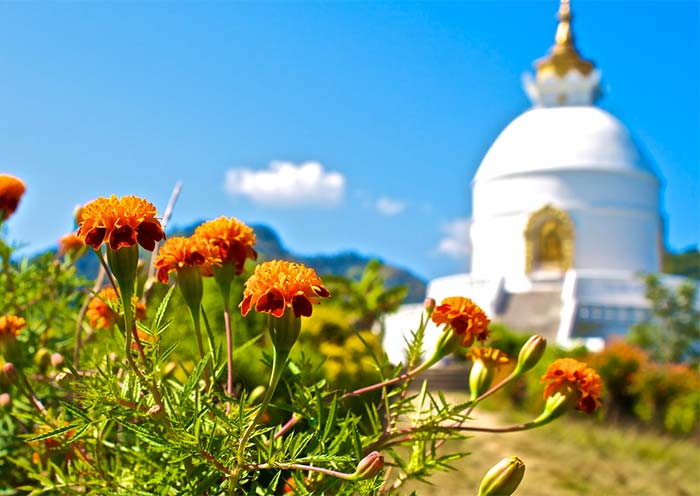 World Peace Pagoda, Pokhara