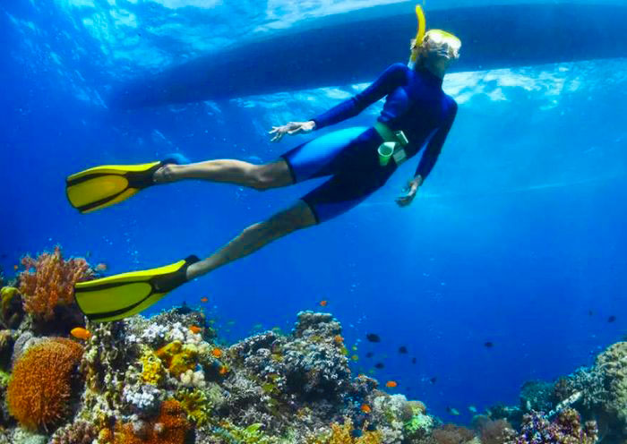 Snorkeling at Balicasag Islands