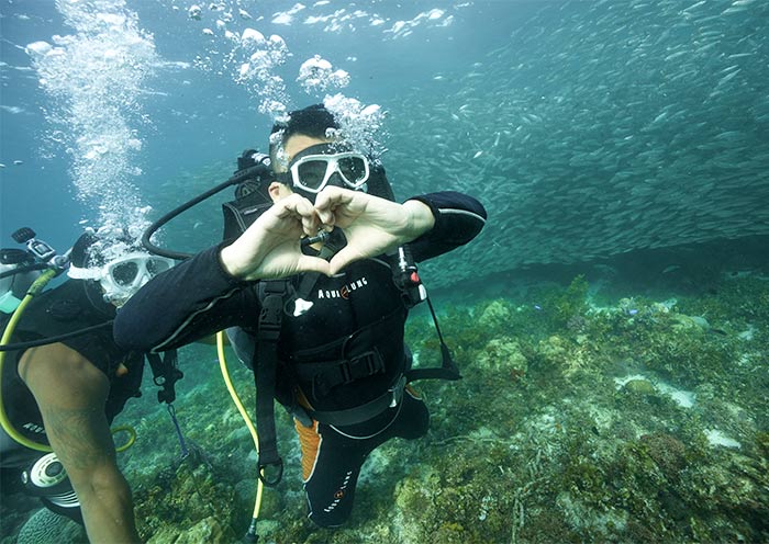 Sardine Run Experience at Napaling Reef