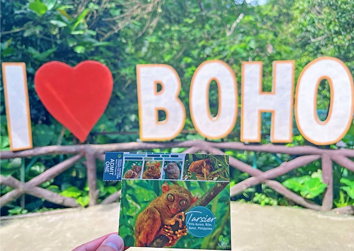 Philippine Tarsier Sanctuary, Bohol