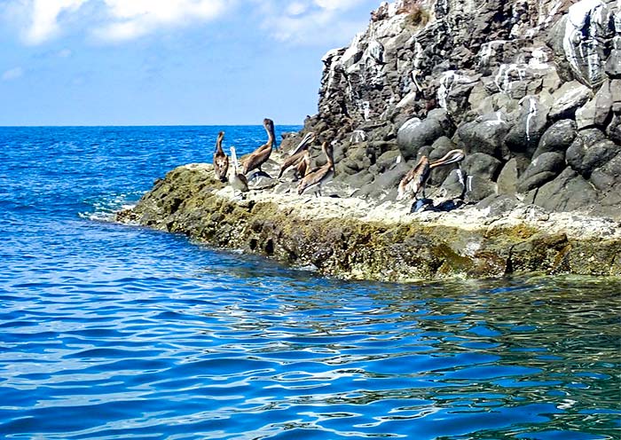 Las Isla De Coral, Coron