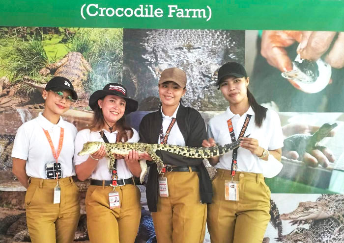 Crocodile Farm in Puerto Princesa, Palawan