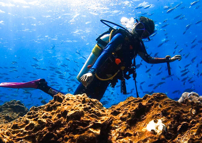 Philippines Diving