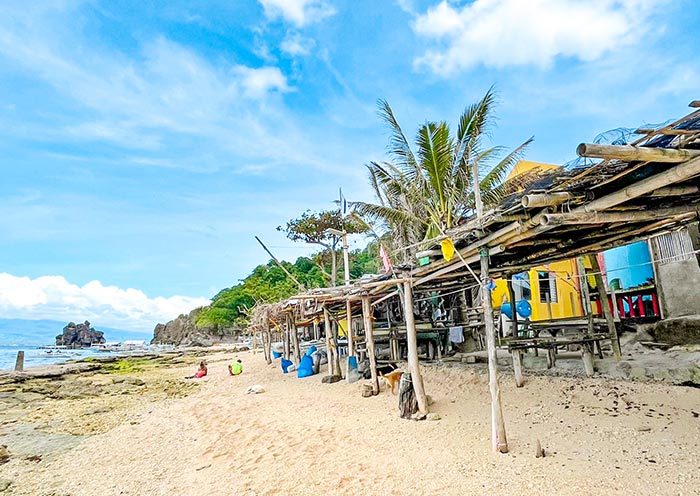 Apo Island, Dumaguete