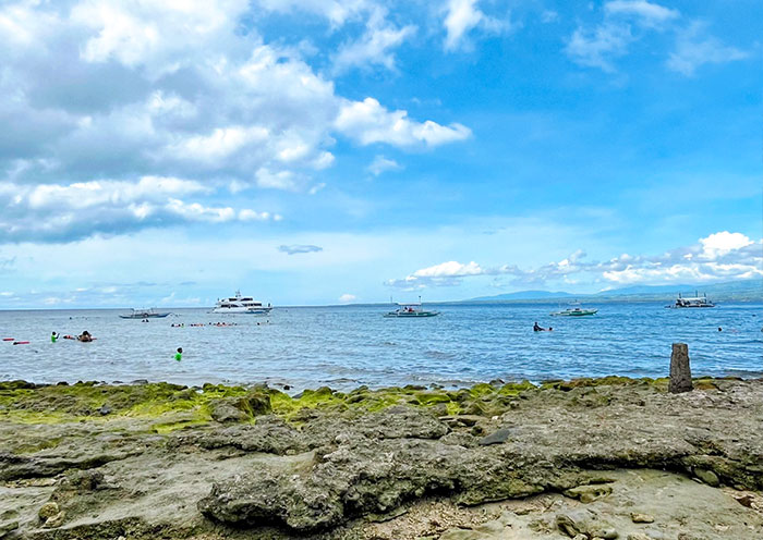 Apo Island, Dumaguete