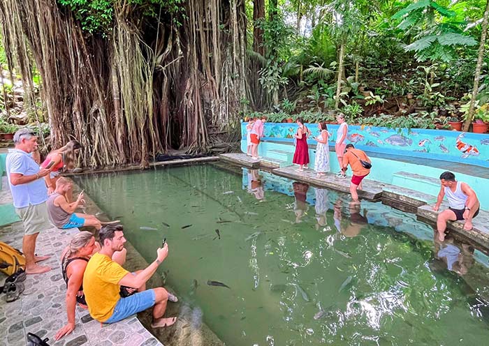 Old Enchanted Balete Tree on Siquijor Island