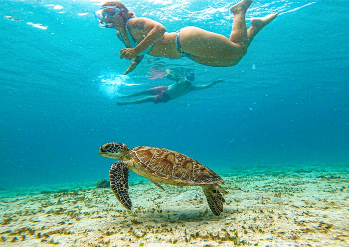 Turtle Spot at Port Barton, Palawan