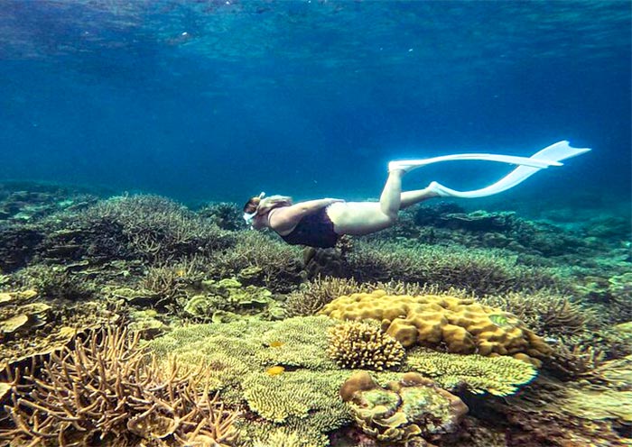 Twin Reef near Port Barton, Palawan