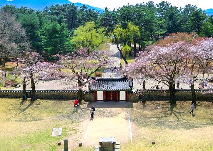 Daereungwon Tomb Complex, Gyeongju Daereungwon Tomb Complex, Gyeongju