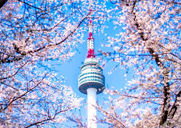 N Seoul Tower, A Landmark in Seoul