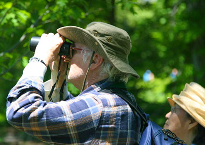 Bird Watching in Kitulgala's Rainforest