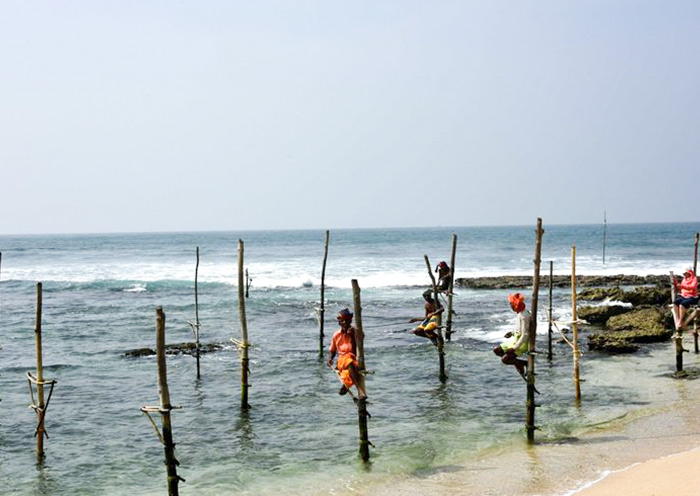Stilt fishing is a traditional fishing technique in Sri Lanka
