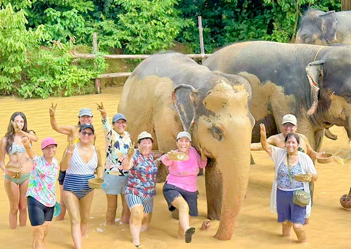 Elephant Jungle Sanctuary, Chiang Mai