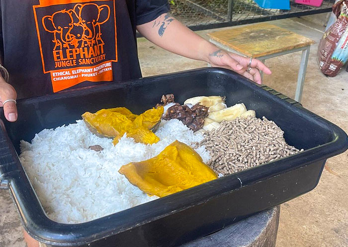 Special food for Elephants Special food for Elephants