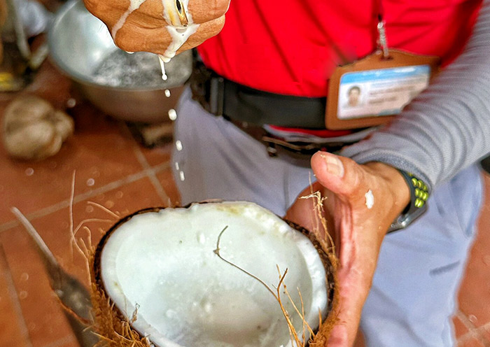Ben Tre Coconut Factory, Vietnam Ben Tre Coconut Factory, Vietnam